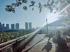 -月湖风景区