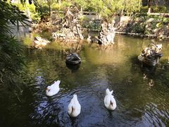 -国恩寺
