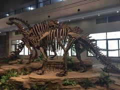 -自贡恐龙博物馆