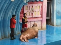 -华夏文旅海洋公园