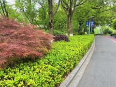 -桐乡植物园