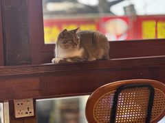 -LOOKA COFFEE(大鹏所城店)