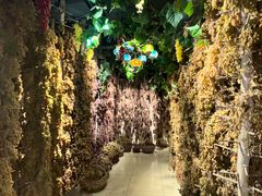 -新疆国际大巴扎