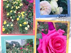 -人民公园(罗湖区)