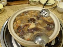 -杨记山珍鸡煲菌汤锅