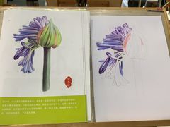 -八哥美术·成人美术画室(总校区)