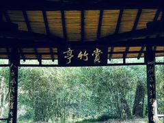 -上海方塔园