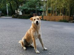 -裸心谷·裸心味餐厅