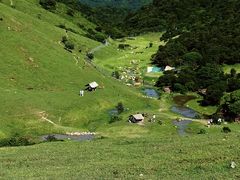-大姆山草场