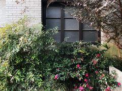 -北山街历史文化街区