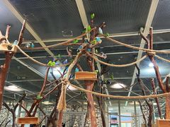 -海合安武汉极地海洋公园
