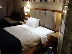 -天津和平智选假日酒店