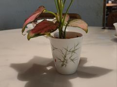 -上上席川菜(凯德乐峰广场店)
