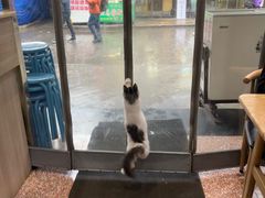 -白翔甜食店
