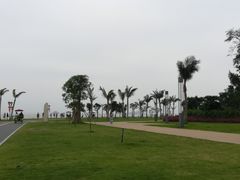 -野狸岛