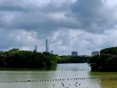 -海珠湖公园