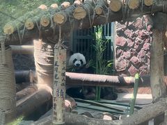 -黔灵山公园