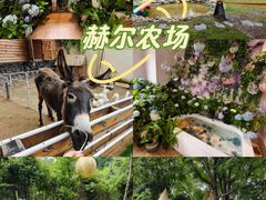 -HERRE·FARM 赫尔露营农场·团建聚会包场