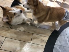-臻享無招牌·食蛙专门店(太古里店)