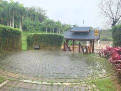 -五象山庄桂象咖啡厅·自助餐·简餐