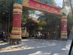 -瑞丽独树成林风景区