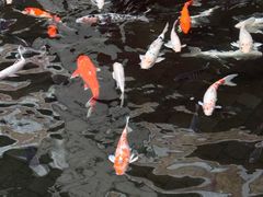 -Waterfall瀑布湾优健源(华侨城店)