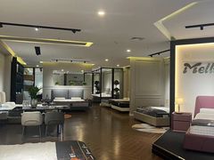 -红星美凯龙(上海沪南店)