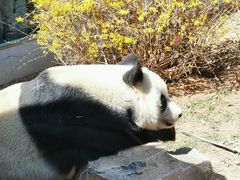 -大连森林动物园