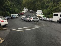 -怀托摩萤火虫洞