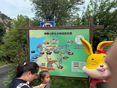 -西霞口神雕山野生动物世界