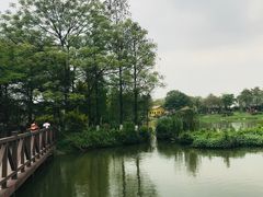 -海珠湖公园