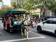 -天津五大道文化旅游区