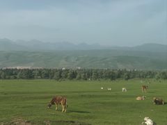 -新疆那拉提国家旅游度假区