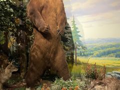 -陕西自然博物馆