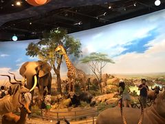 -陕西自然博物馆