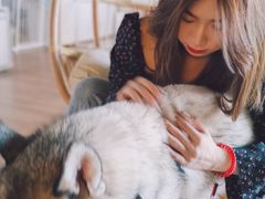 -Husky Go! 哈士奇体验馆·宠物咖啡厅狗咖