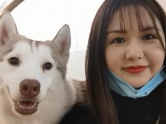 -Husky Go! 哈士奇体验馆·宠物咖啡厅狗咖