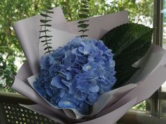 -金陵花卉交易市场