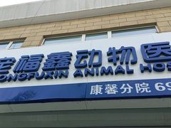 -宠福鑫康馨动物医院·骨科·眼科