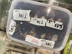 -酷以爬仙阁实体爬宠店·守宫·蜥蜴·专业繁育