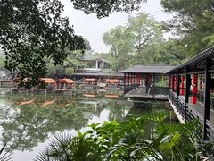 -侨美·唐荔园·40年地道粤菜