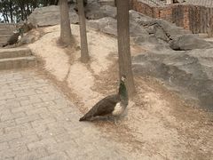 -唆了蜜团建·趣味沉浸式剧情·蹦床轰趴运动拓展基地(天津旗舰店)