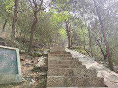 -北京十三陵国家森林公园蟒山景区
