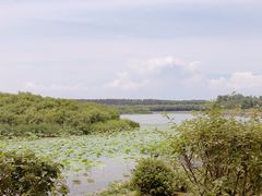 -丁香湖公园