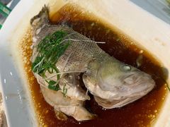 清蒸鲈鱼-云中小雅