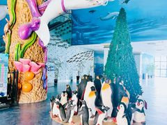 -芜湖新华联大白鲸海洋公园