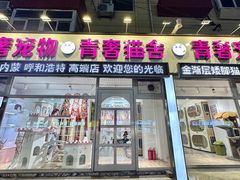 -青奢宠物·青奢猫舍