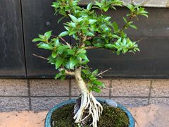 -みかわ是山居