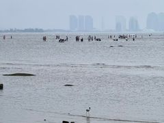 -东戴河风景区-止锚湾