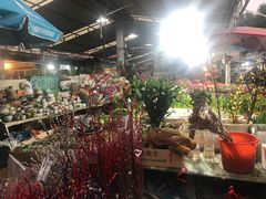 -曲阳花鸟市场(曲阳路店)